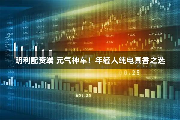 明利配资端 元气神车！年轻人纯电真香之选