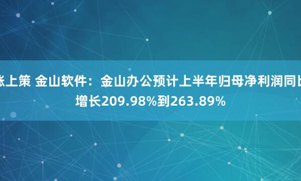 涨上策 金山软件：金山办公预计上半年归母净利润同比增长209.98%到263.89%